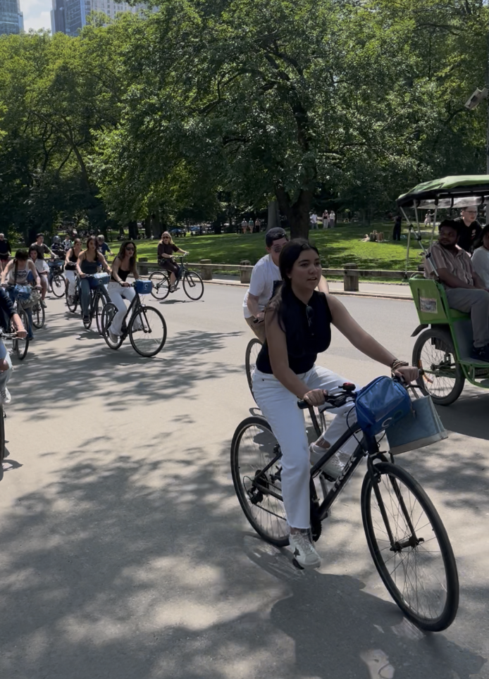 IP bicis